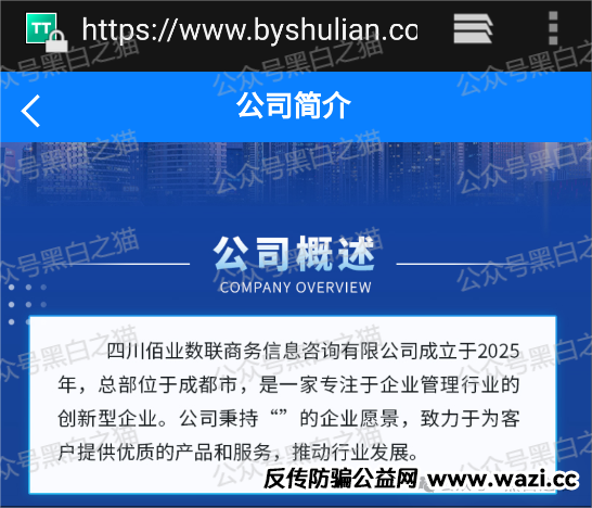 影子曝光｜“佰业数联”资金盘，明目张胆国内开盘，有团长被追着赔付......