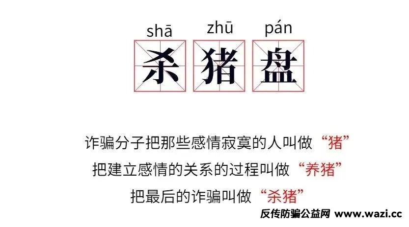 “恋爱”+“投资”+“线下取现”=杀猪盘！！！
