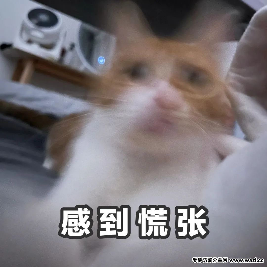 【全民反诈】“免费保险”扣费陷阱！民警生死时速抢回百万积蓄