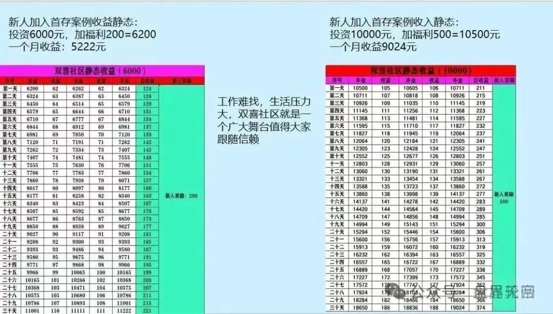 【双喜社区】天帝带你扒皮彩票资金盘套路！