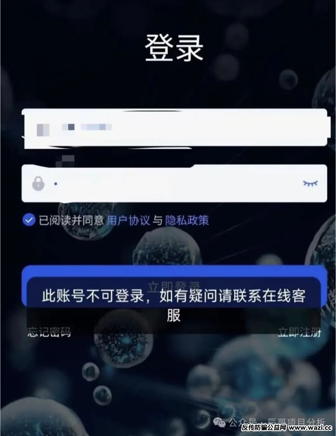 即将崩盘跑路的几个资金盘骗局，【星光影业，DGCX鑫慷嘉，艾菲克斯】你有参与的吗？