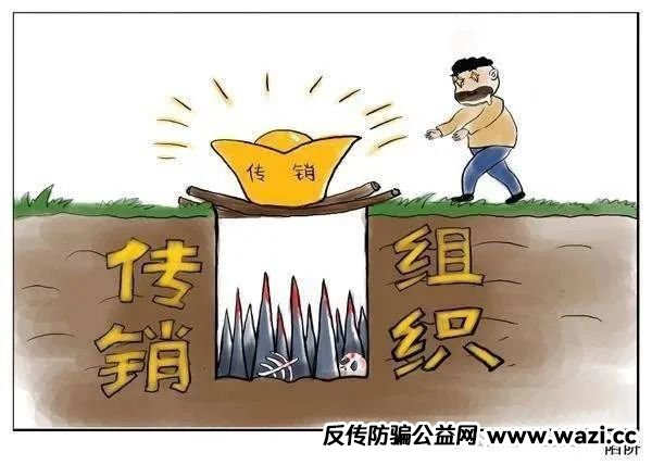 【警惕】“兔子外汇保险基金”：量化交易外衣下的资金盘骗局预警！