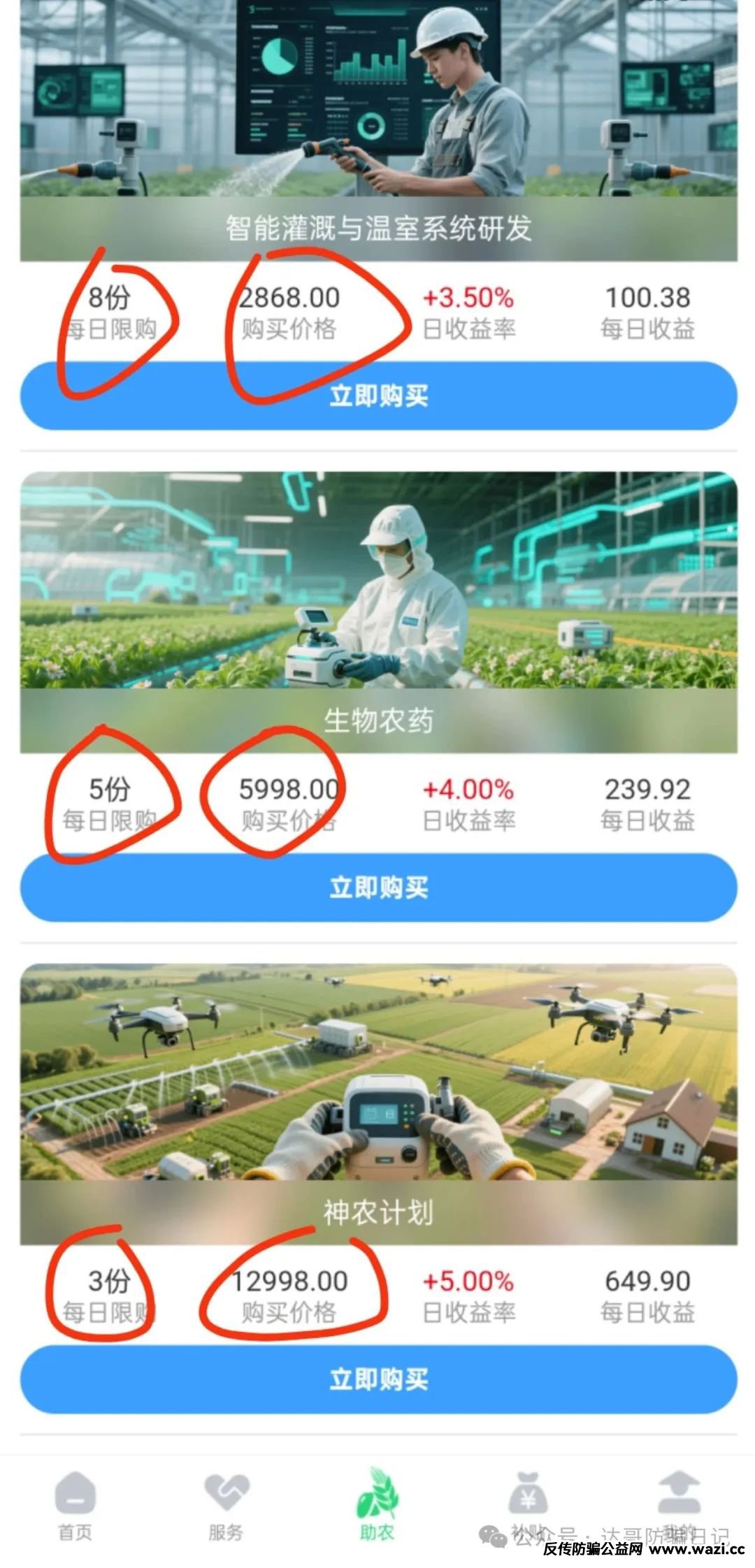 预警:海豚启航，兴农兴邦两大资金盘项目即将开始收割！