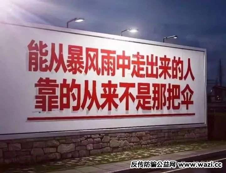 【RWA ecosystem】质押资金盘骗局曝光，暴跌背后究竟是“机会”还是陷阱！