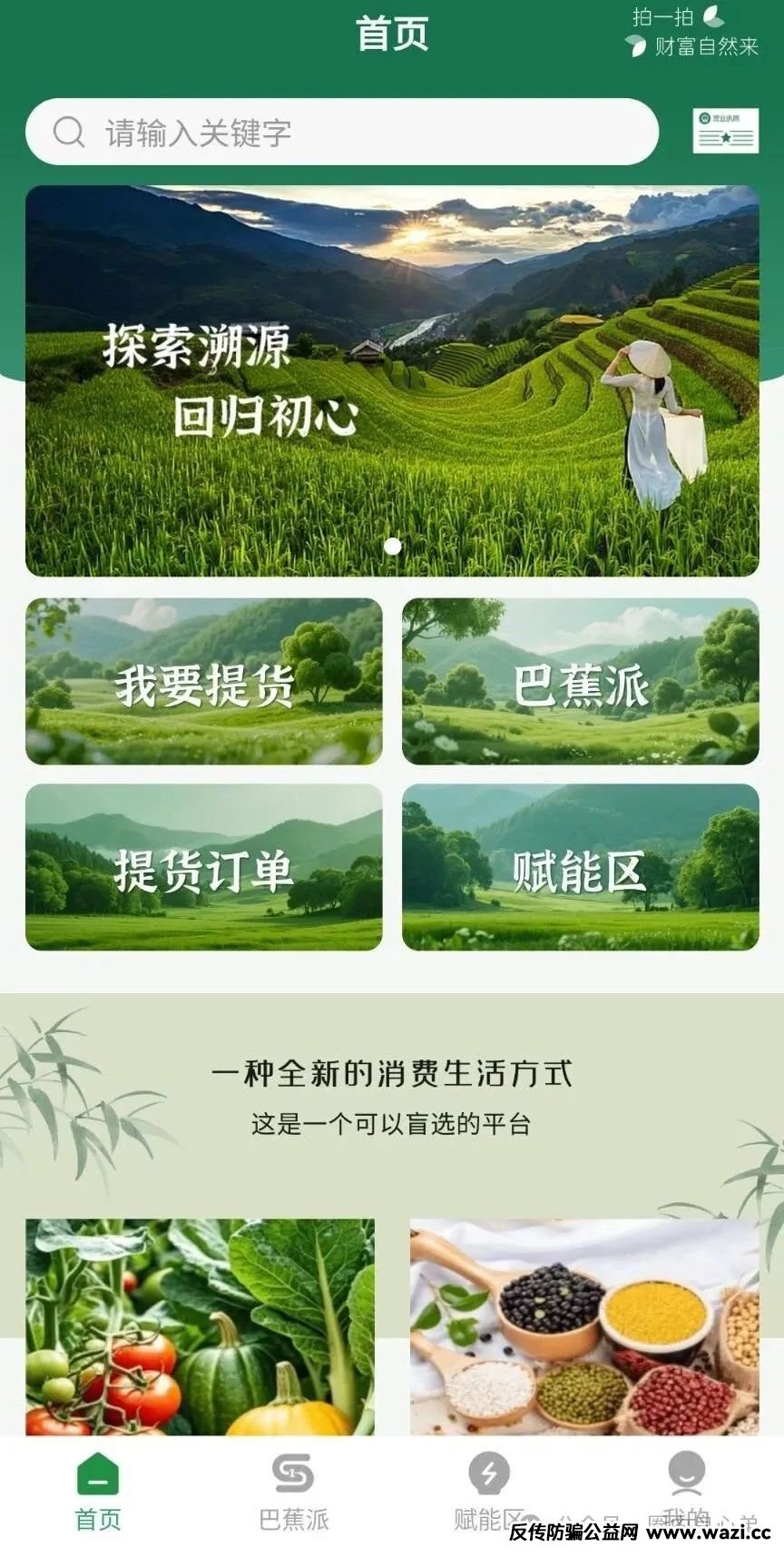 悠然境-巴蕉派小红蕉，互助竞拍骗局，瞄准普通人血汗钱的 “吸血机器”。