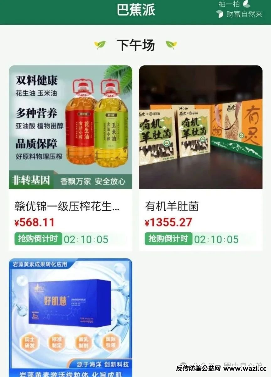 悠然境-巴蕉派小红蕉，互助竞拍骗局，瞄准普通人血汗钱的 “吸血机器”。
