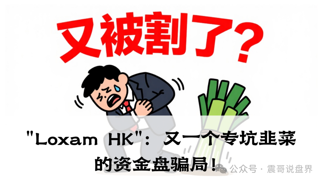 带你扒皮＂Loxam HK＂：分红盘骗局，专门收割想一夜暴富的韭菜。