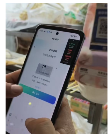 百天暴富陷阱：【NEXIM】加密支付资金盘的传销骗局！