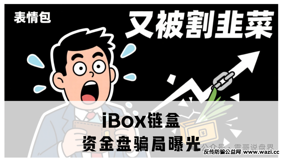 【iBox链盒】收割史：AI画饼 + 老鼠仓洗劫，学生党网贷接盘血本无归！