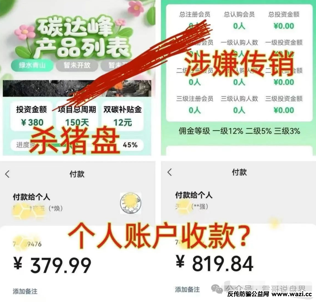 【碳达峰APP】带你扒皮这个骗局，千万别往里跳！