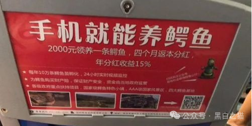 以案说法｜“云养牛”“云养猪”“云养鸡”投资骗局，都是糖衣炮弹“陷阱”，请捂好自己血汗钱......