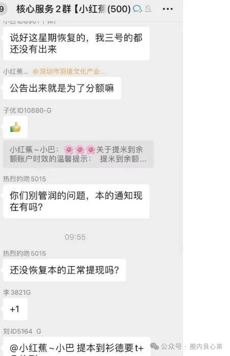 曝光【悠然境-巴蕉派小红蕉】互助竞拍骗局，提现不到账。