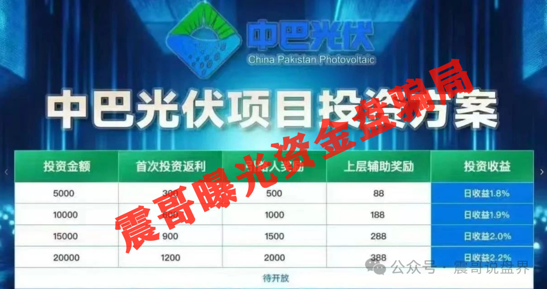 最新！【中巴光伏】陷阱大起底！震哥带你扒皮高回报骗局！