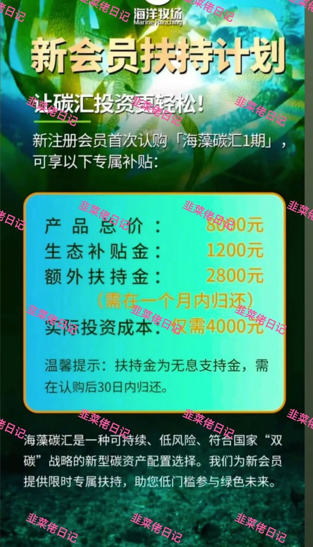 最新资金盘项目骗局【新质兴农,海洋牧场】！