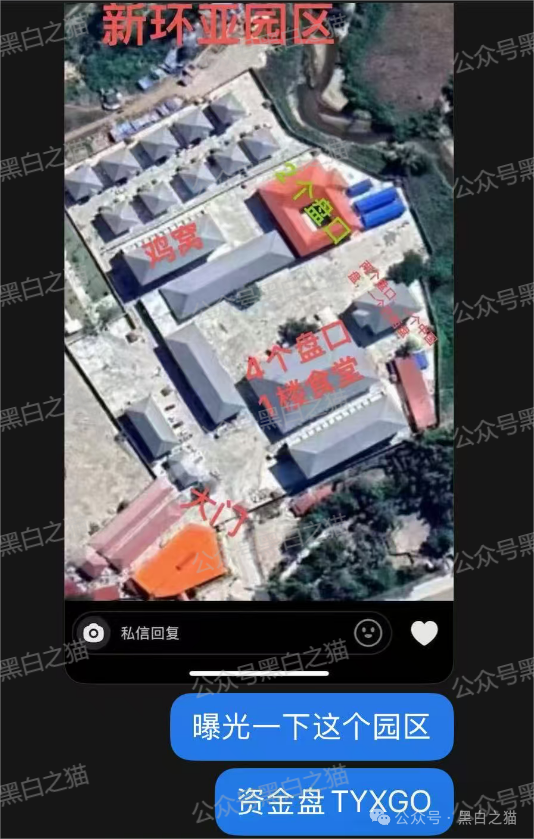 【TyxGo】资金盘冒充新加坡金融公司，以股票跟投为幌子，用情感话术哄骗宝妈群体......