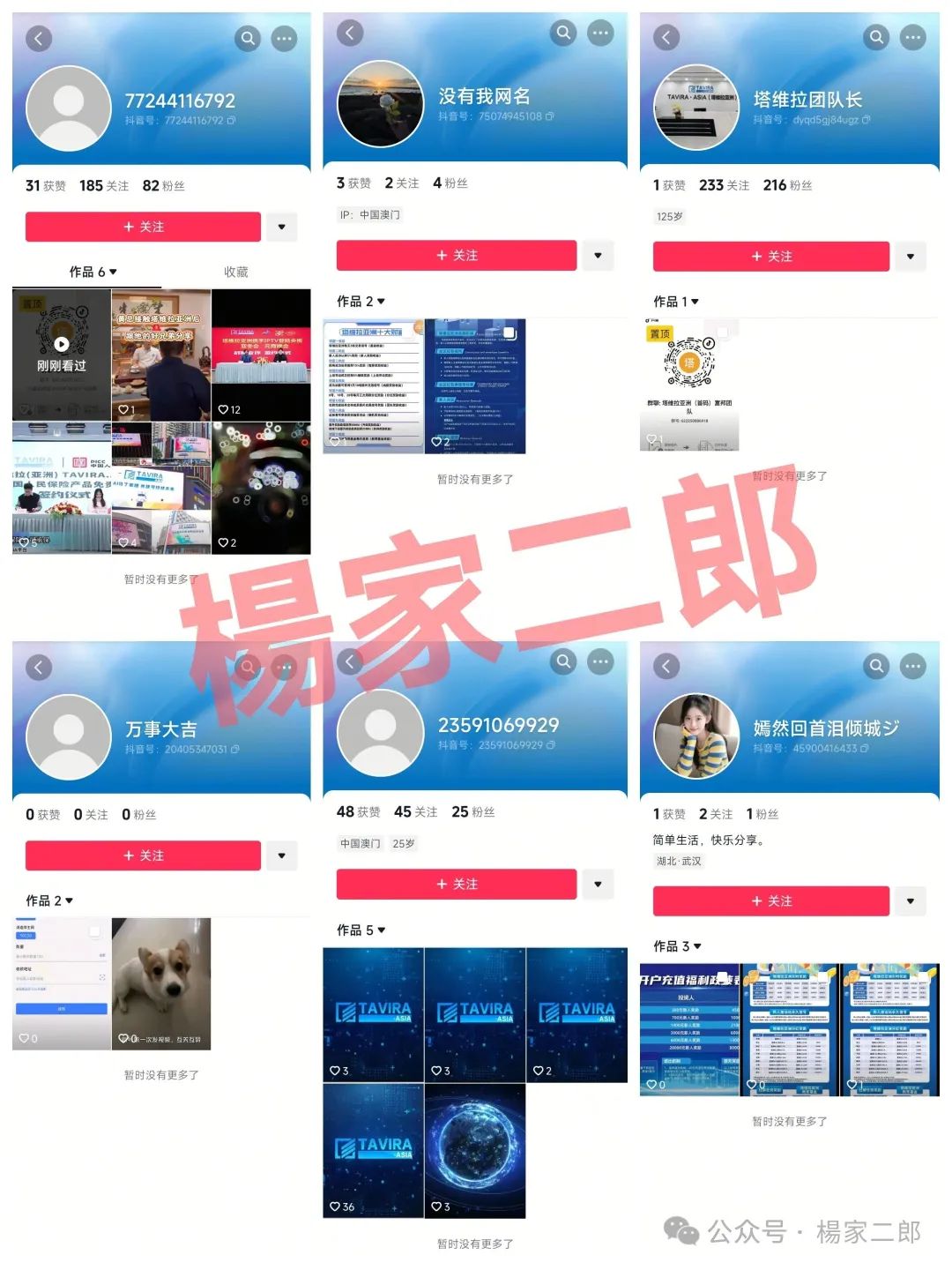 高度预警【塔维拉亚洲（TAVIRA ASIA）】超级短命杀猪盘即将上线！