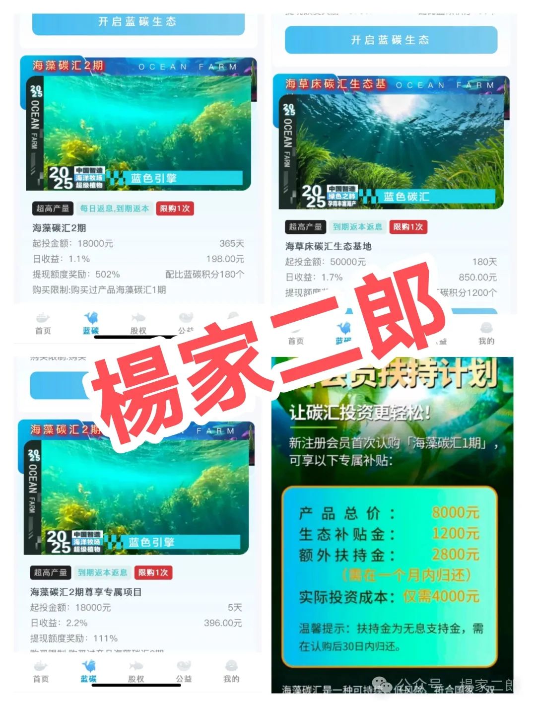深度揭秘:【海洋牧场app】套用国家政策的理财资金盘骗局！