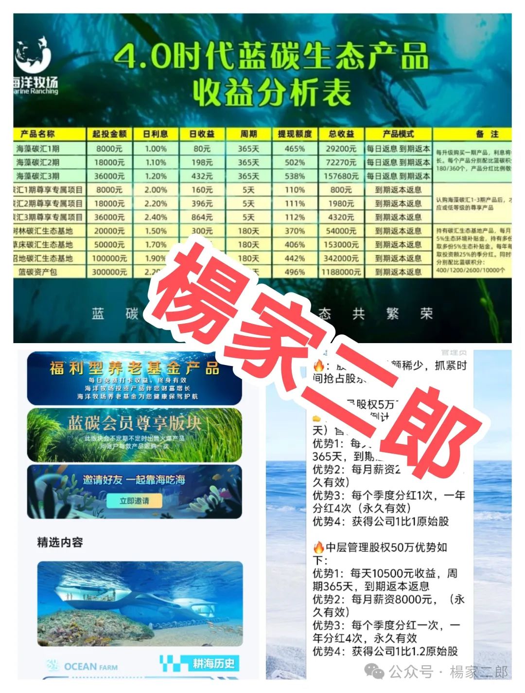 深度揭秘:【海洋牧场app】套用国家政策的理财资金盘骗局！