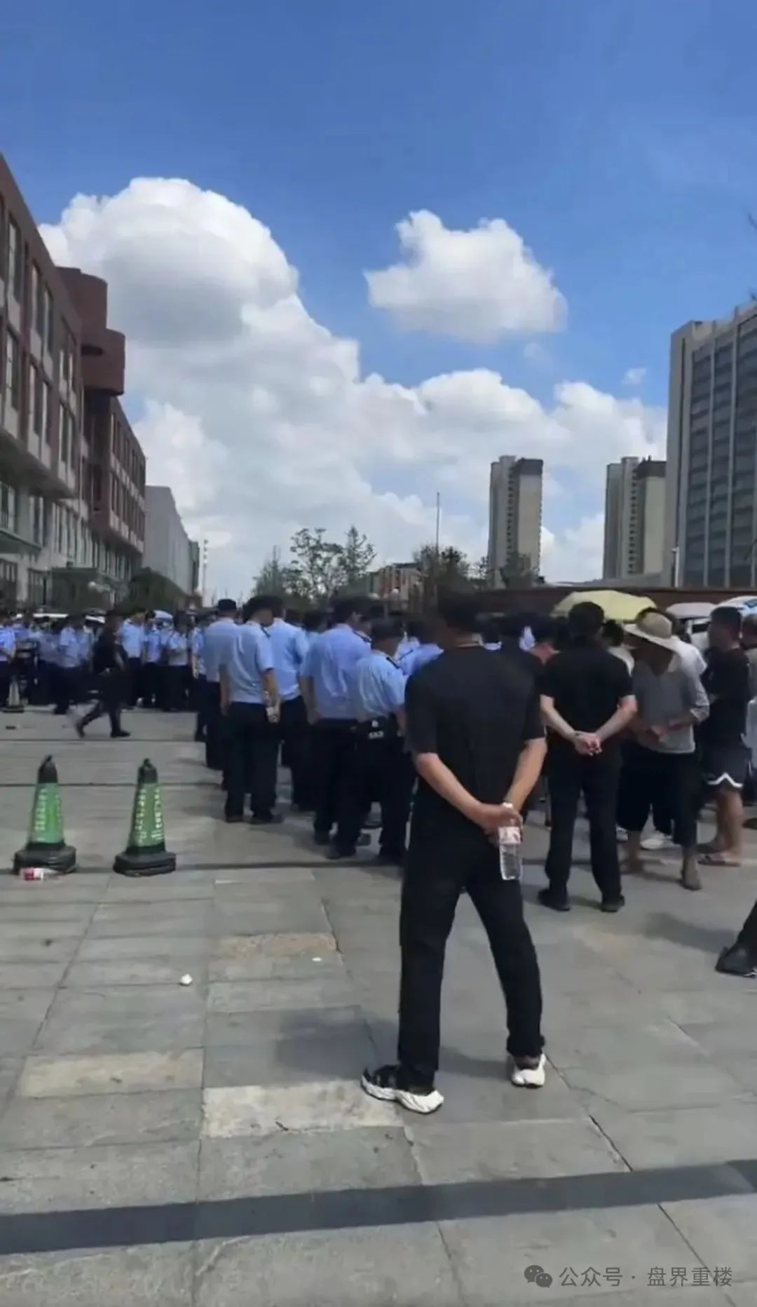 树拍崩盘，下一个是艾兴合、荣裕合、易无界、添星汇还是原田？