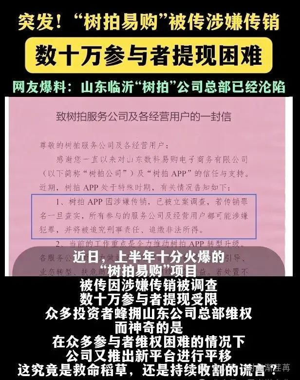 “爆雷！树拍易购鑫慷嘉连环炸，数字外衣下的庞氏骗局让百万家庭‘钱梦破碎’”​