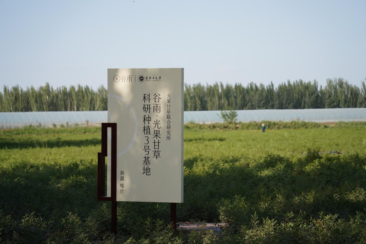 谷雨披露首份ESG报告 呼应科技与文化双轮驱动