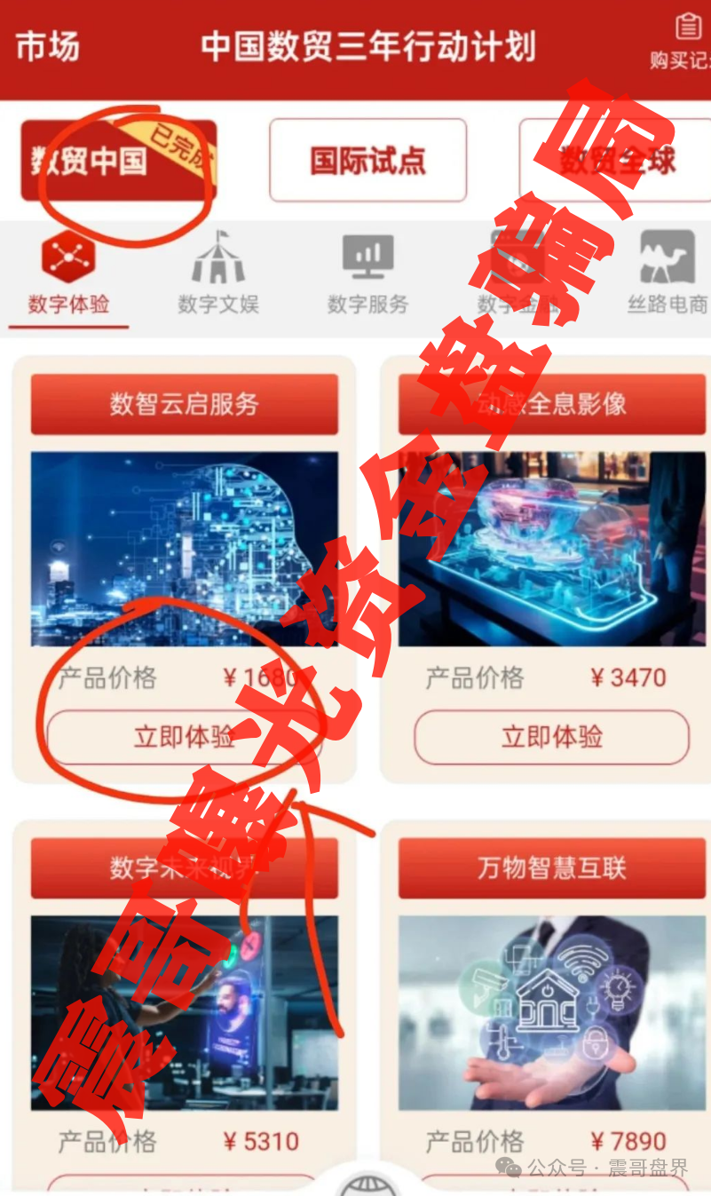【中国数贸】资金盘大起底：震哥带你扒开“全球卡”骗局！
