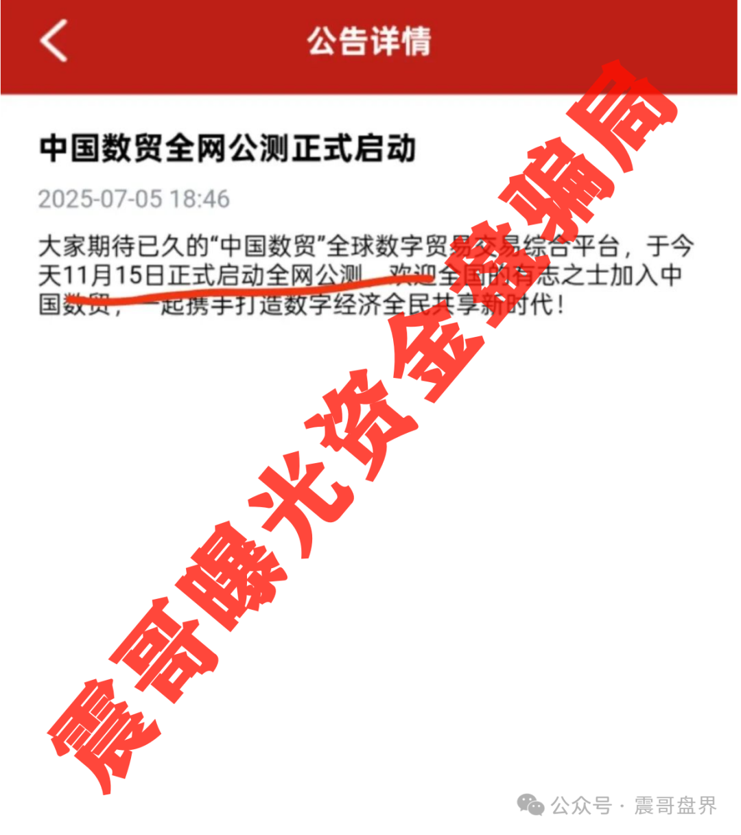 【中国数贸】资金盘大起底：震哥带你扒开“全球卡”骗局！