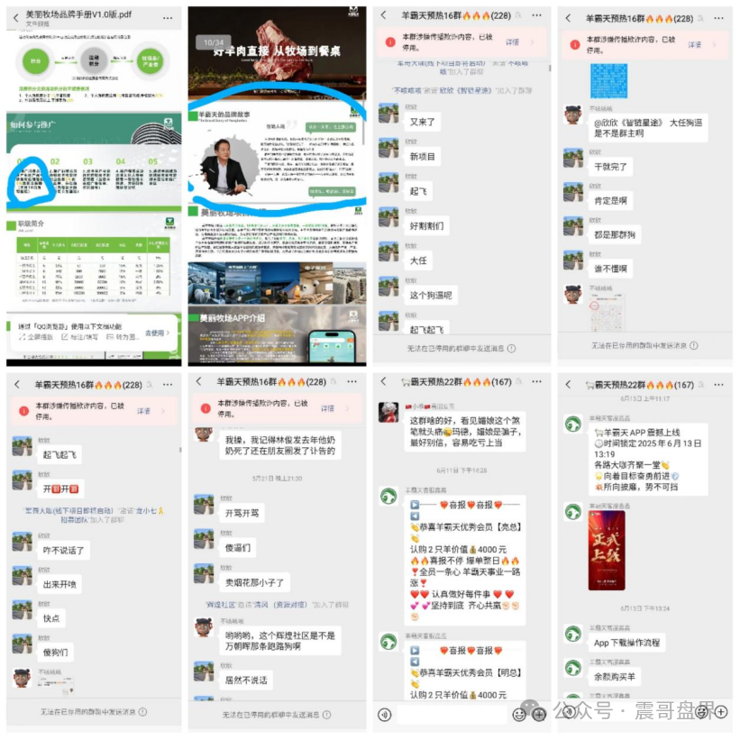 【羊霸天】这项目从一开始就是个坑，给你们捋捋这帮人是怎么玩套路的。