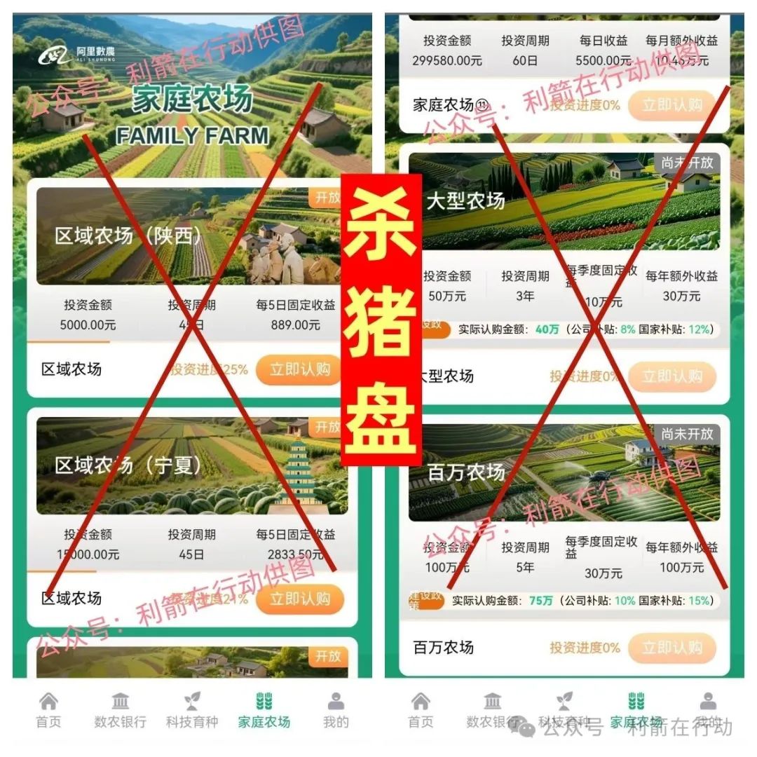 警惕！“阿里数农” APP 实为假冒诈骗平台，杀猪盘套路深度揭秘！
