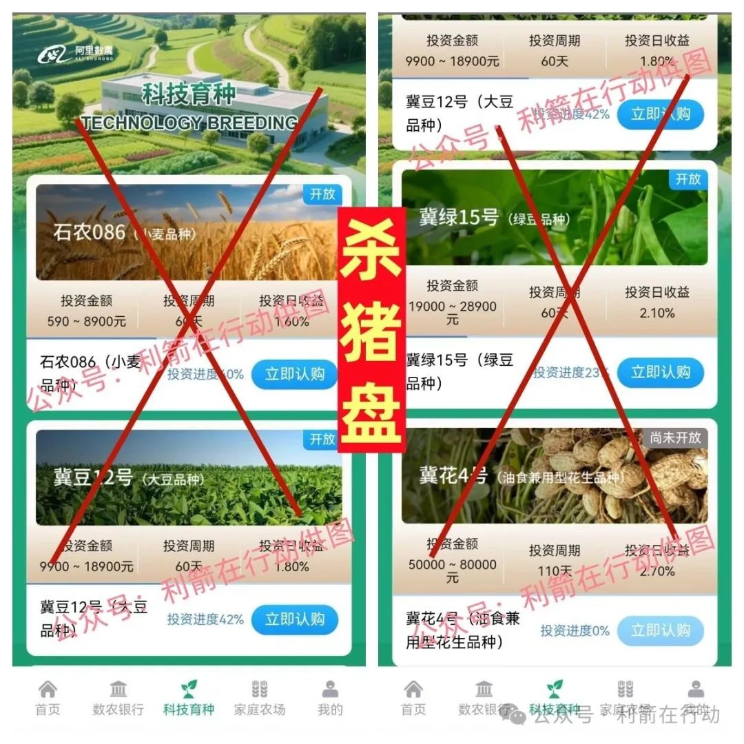 警惕！“阿里数农” APP 实为假冒诈骗平台，杀猪盘套路深度揭秘！