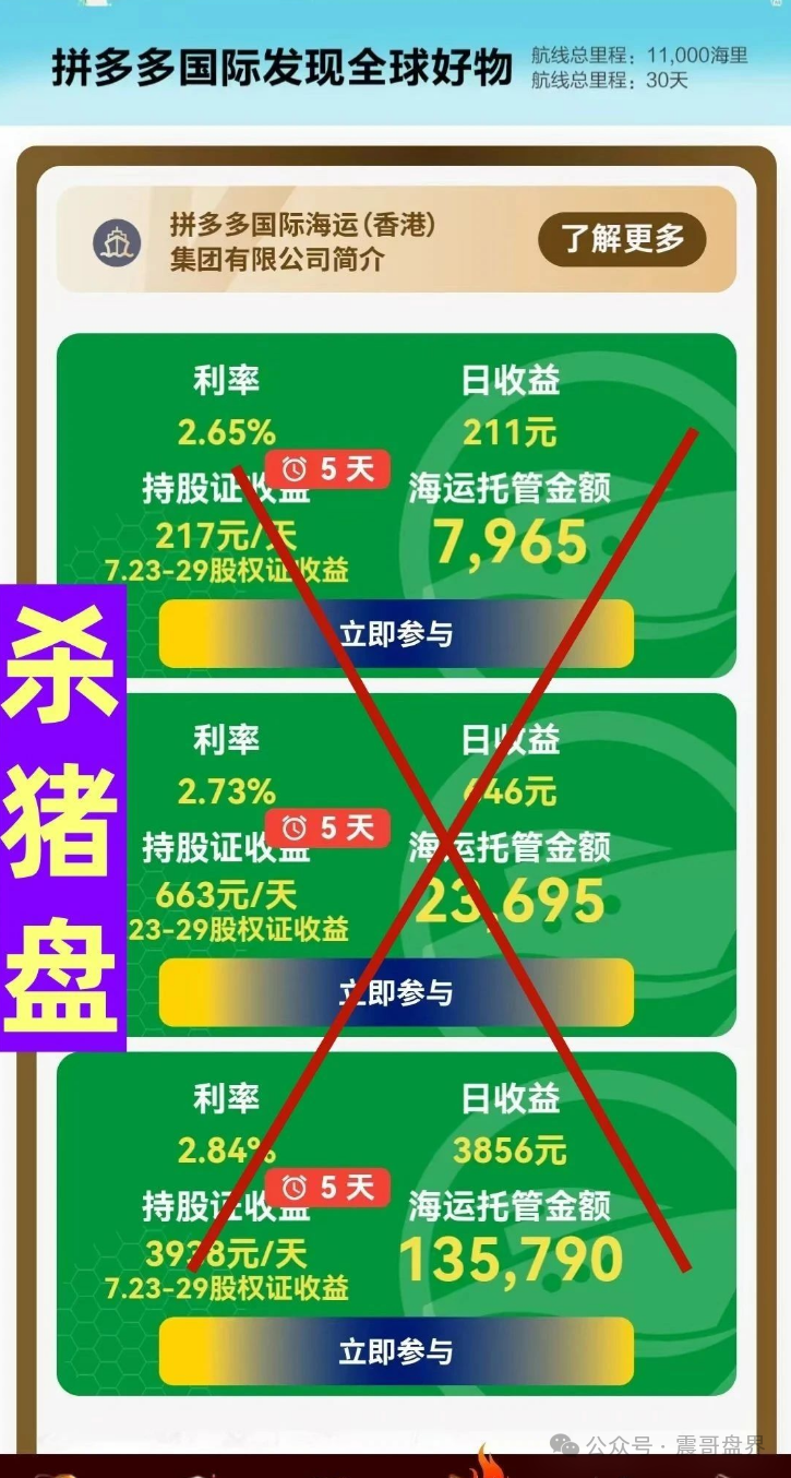 拼多多国际版骗局大揭秘！震哥带你扒光它的皮！