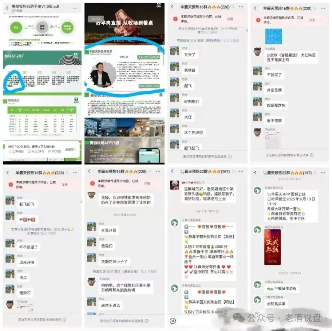 高度警惕【美丽牧场羊霸天】未上线被卷走4000万！层层吸血，资金转移暴露资金盘本质！