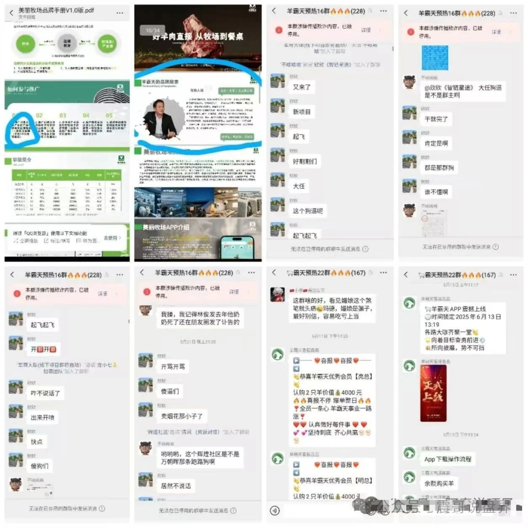 【美丽牧场羊霸天】还没开始就卷走4000万，你的钱早被分完了！