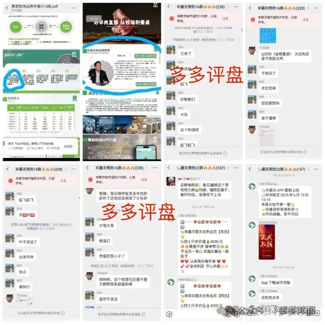 【美丽牧场】不美丽：“羊霸天”的羊毛，还没出栏就被薅秃了！