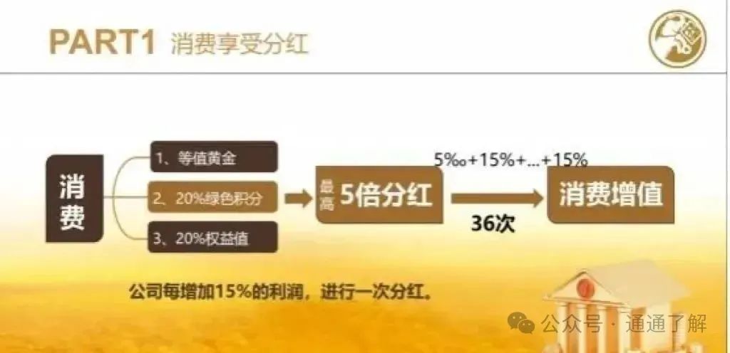 【山东中福福宝黄金】崩盘！数万投资者被“消费致富”陷阱收割！