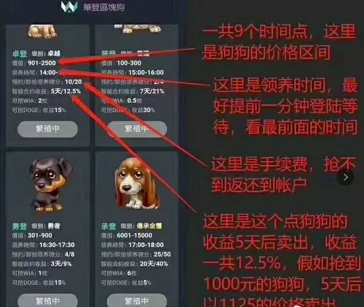 资金盘骗局【巢音世代】操盘手圈钱过亿，即将崩盘跑路。