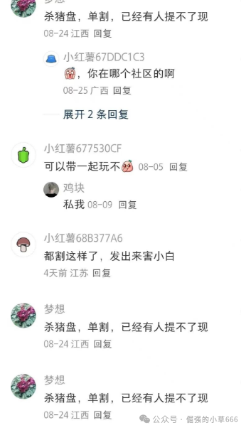 【睿盛环球（原博瑞通）】已进入“临终时刻”，跑路倒计时开启！