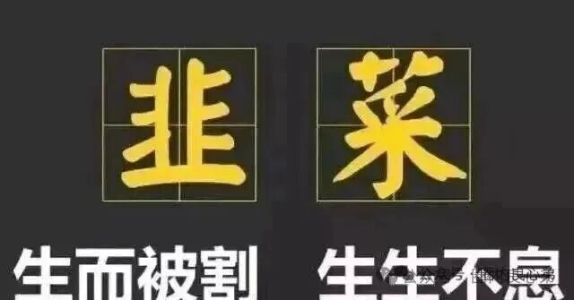 10月底最新整理8个崩盘跑路【启明创投,全球供应链,超脑智算,方舟之境,永恒协议,博发传媒】 10月底最新整理8个崩盘跑路【启明创投,全球供应链,超脑智算,方舟之境,永恒协议,博发传媒】