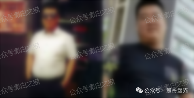 【Veridian（维盛社区）】资金盘骗局，已经单割，即将崩盘跑路！