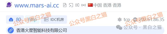 揭秘“MARS AI火星智能科技”，层层深入，揭露不为人知的真相，团队长能解释吗