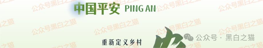 短命“恒力集团”返利快杀盘花样频出，参与人小心盘总一夜消失......