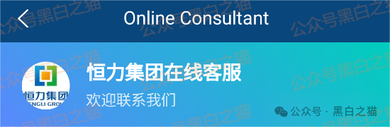 短命“恒力集团”返利快杀盘花样频出，参与人小心盘总一夜消失......