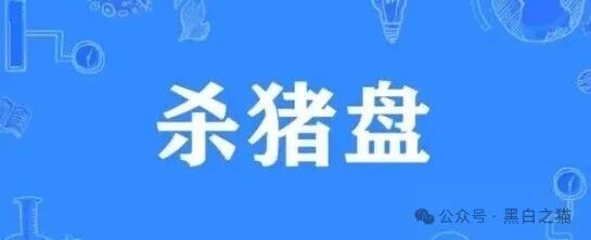 电诈团伙伪冒“TCV资本”,通过话术精准诱惑孤单女性投资,被围猎者还飘飘欲仙...... 电诈团伙伪冒“TCV资本”,通过话术精准诱惑孤单女性投资,被围猎者还飘飘欲仙......