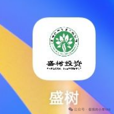 又一个“纪源资本”？“盛树投资”资金盘正在悄悄崩盘！