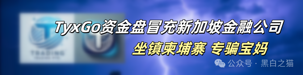 影子曝光|【泰克瑟罗斯(TyxGo)】崩盘后续,细节曝光...... 影子曝光|【泰克瑟罗斯(TyxGo)】崩盘后续,细节曝光......