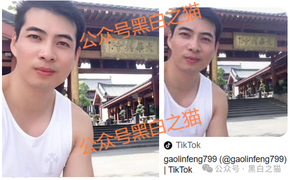 影子曝光|【泰克瑟罗斯(TyxGo)】崩盘后续,细节曝光...... 影子曝光|【泰克瑟罗斯(TyxGo)】崩盘后续,细节曝光......